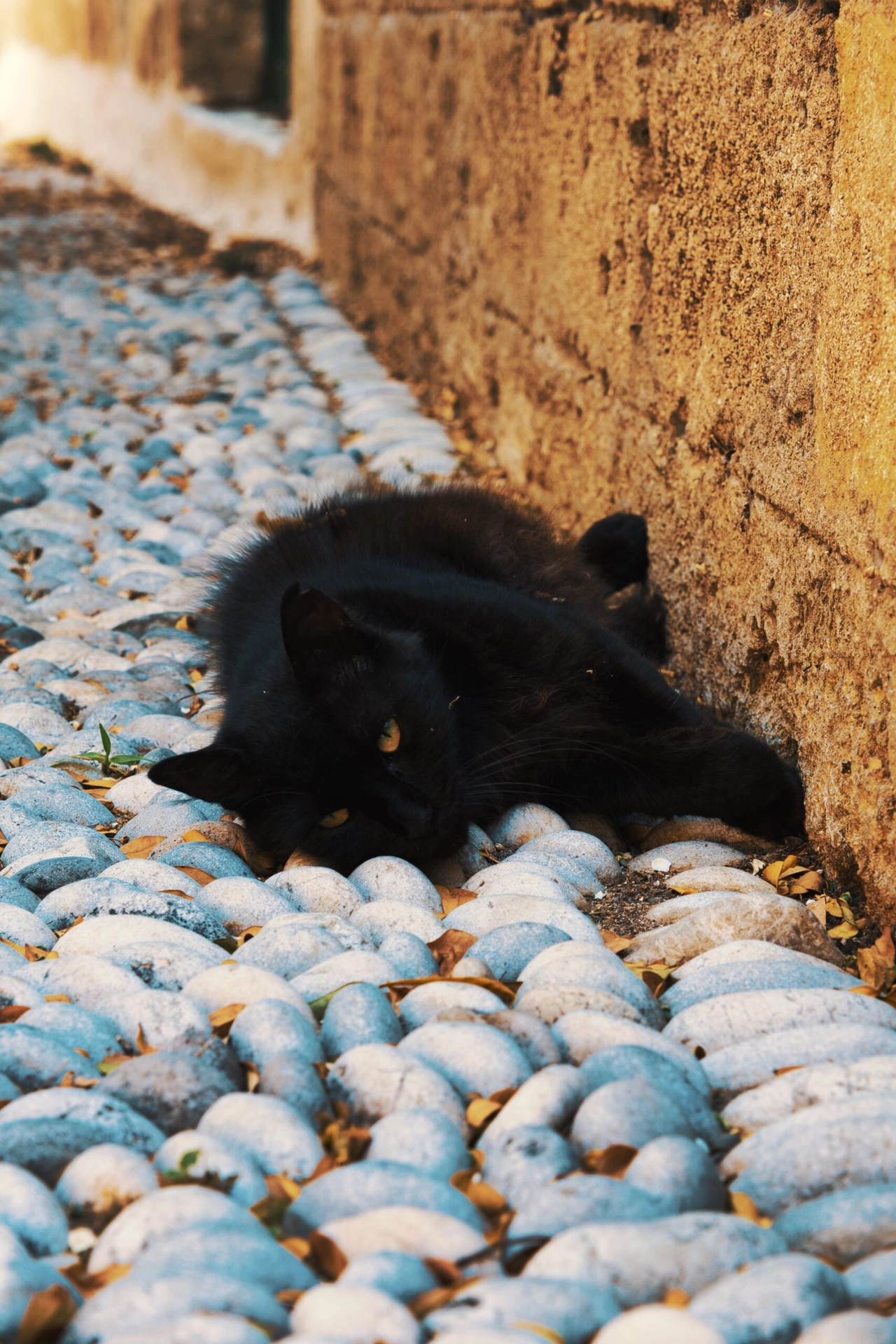 Ρόδος 22.07.2021 132856
